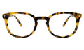 Front view of Copenhagen Optical in Tortoise/Optical