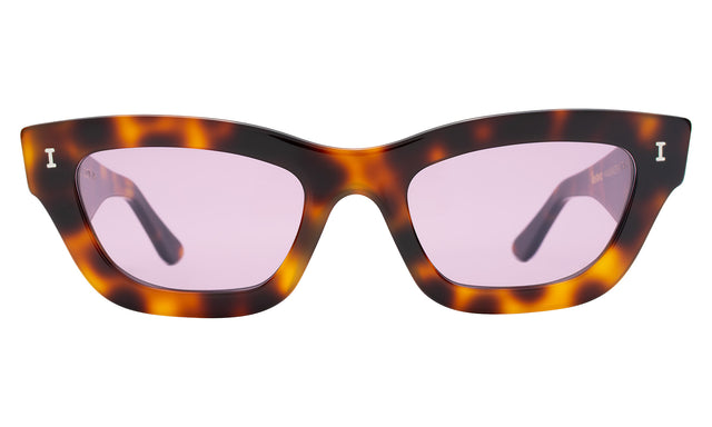 Donna Sunglasses front view in Havana with Plum See Through