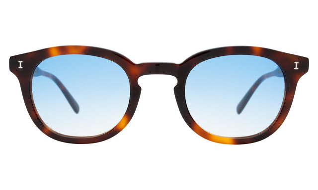 Havana / Blue Gradient See Through Product Shot