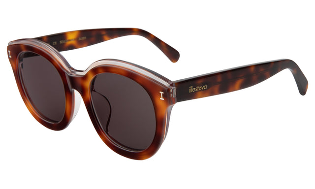 Echo Park Sunglasses side view in Havana / Grey Flat