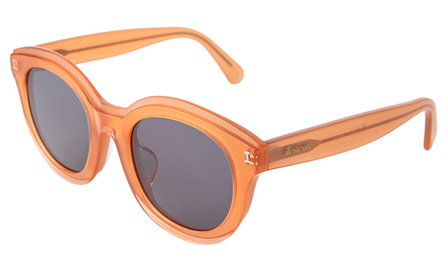 Echo Park Sunglasses side view in Sienna / Grey Flat