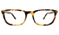 Front view of Albany Optical in Tortoise/Optical