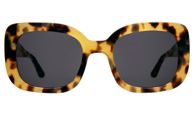 Anastasia Sunglasses in Tortoise W