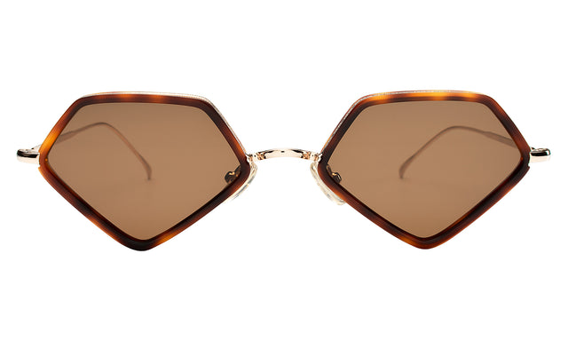 Beak Ace 53 Sunglasses in Havana/Gold with Brown Flat