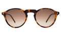 Front view of Capri Sunglasses in Havana/Brown Gradient