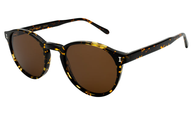 Como Sunglasses side view in Flame / Brown