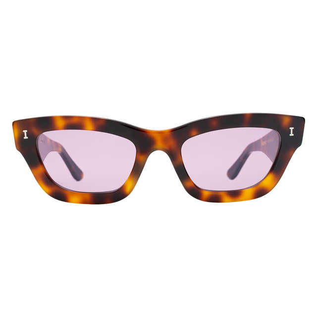 Donna Sunglasses front view in Havana with Plum See Through