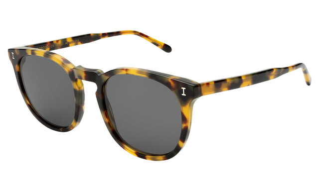 Eldridge 56 Sunglasses Side Profile in Tortoise / Grey Flat