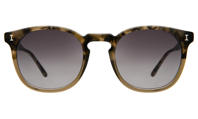 Eldridge Sunglasses in Kale with Grey Flat Gradient