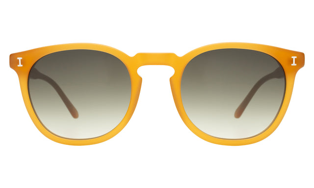 Eldridge Sunglasses in Matte Honey with Olive Flat Gradient