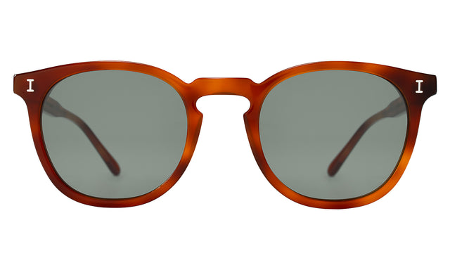 Eldridge Sunglasses front view in Red Havana with Olive Flat