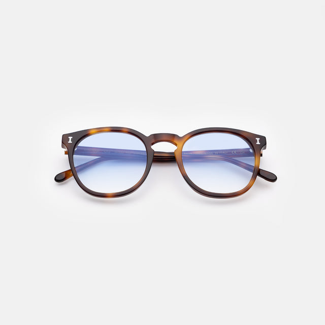Eldridge 48 Sunglasses side view in Havana / Blue Flat Gradient See Through