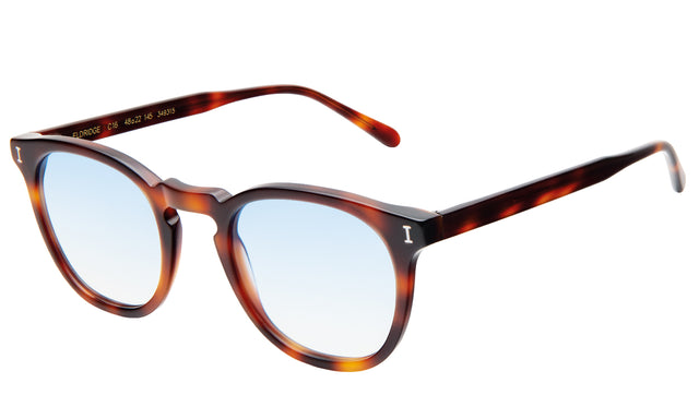 Eldridge 48 Sunglasses side view in Havana / Blue Flat Gradient See Through