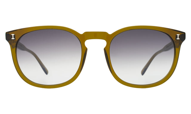 Eldridge 56 Sunglasses front view in Moss with Grey Flat Gradient