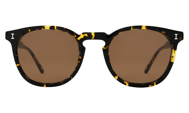 Eldridge Sunglasses front view in Flame with Brown Flat