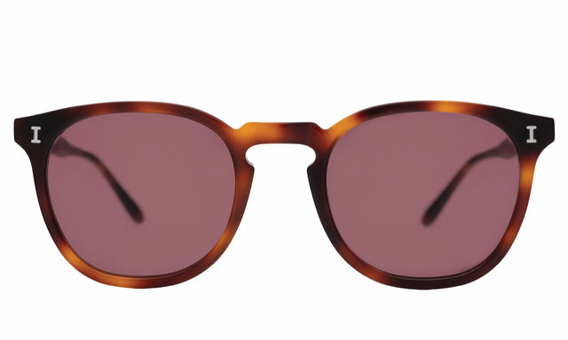 Eldridge Sunglasses front view in Havana with Plum Flat See Through