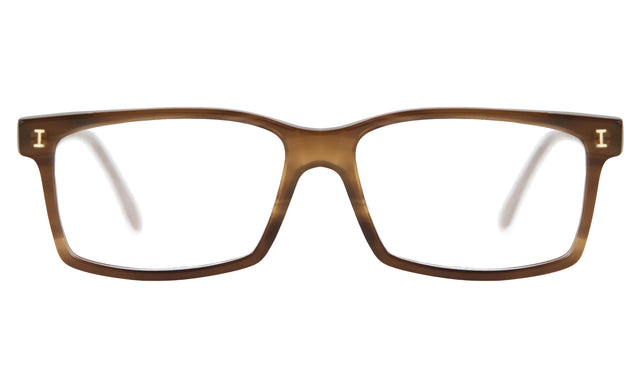 Gordon Optical front view in Mocha Optical