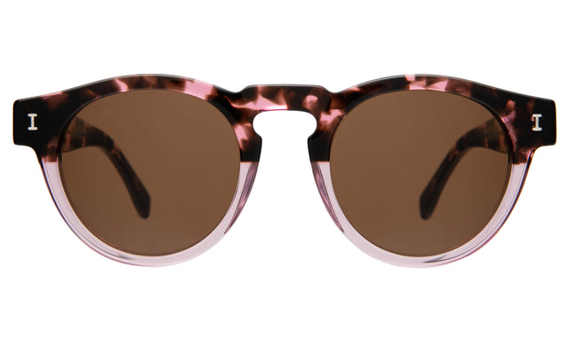 Leonard Sunglasses in Cherry Blossom with Brown