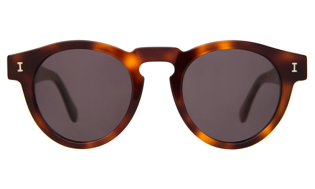 Leonard Sunglasses front view in Havana with Grey