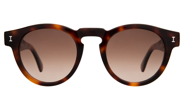 Leonard Sunglasses in Havana with Brown Gradient