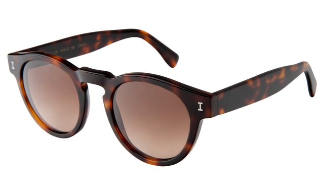 Leonard Sunglasses Side Profile in Havana / Brown Gradient