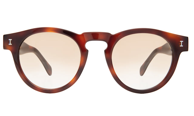 Leonard Sunglasses front view in Havana with Taupe Gradient