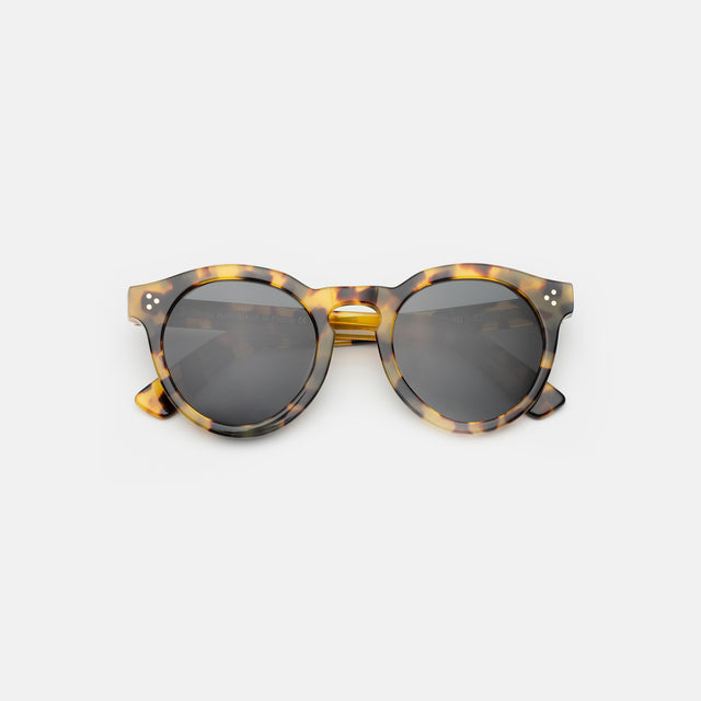 Leonard II E Sunglasses side view in Tortoise / Grey