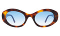 Front view of Luna Sunglasses in Havana/Blue Flat Gradient See Through