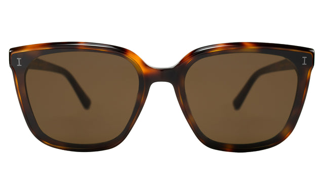 Mallorca Sunglasses front view in Havana with Brown Flat