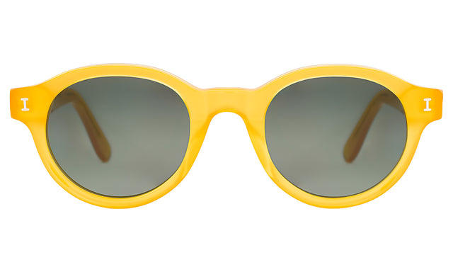 Medellin Sunglasses in Honey Gold with Olive