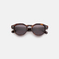 Front view of Michael Sunglasses in Havana/Grey