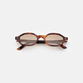 Front view of Munich Sunglasses in Havana/Taupe Flat Gradient