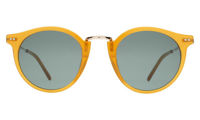 Portofino Sunglasses front view in Honey with Olive