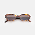 Front view of Sheila Sunglasses in Havana/Brown Flat Gradient