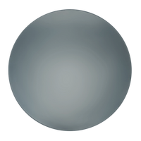 Silver Mirror Lens