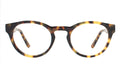 Front view of Stanley Optical in Tortoise/Optical