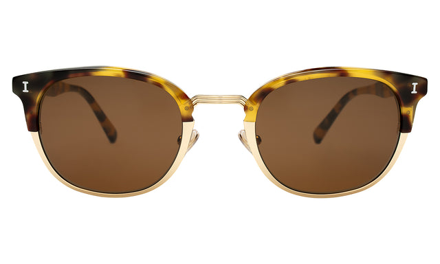 Stockholm Sunglasses front view in Tortoise/Gold with Brown