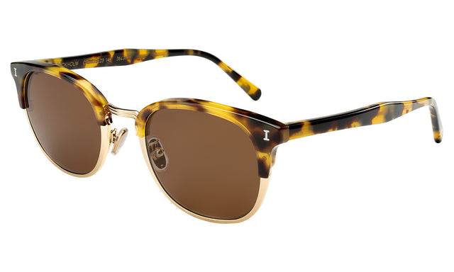 Stockholm Sunglasses side view in Tortoise/Gold / Brown