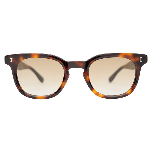 Veneto Sunglasses front view in Havana with Taupe Flat Gradient