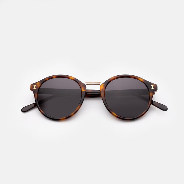 Village Sunglasses side view in Havana/Gold / Grey