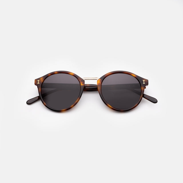 Village Sunglasses side view in Havana/Gold / Grey