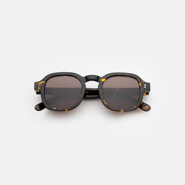 Washington Sunglasses side view in Star Tortoise / Brown Flat