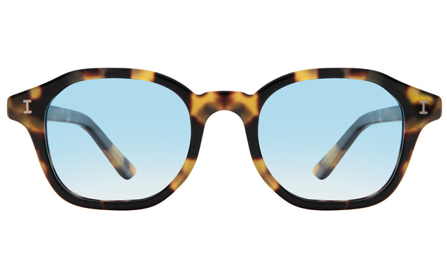 William Sunglasses front view in Tortoise with Blue Gradient See Through