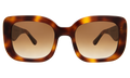 Front view of Anastasia Sunglasses in Havana/Brown Gradient