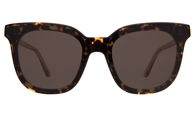 Camille 64 Sunglasses front view in Star Tortoise/Citrine with Grey Flat