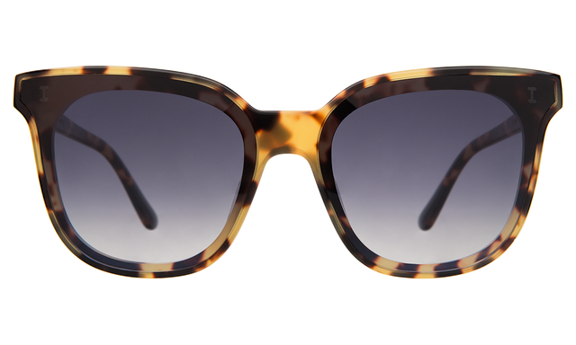 Camille 64 Sunglasses front view in Tortoise with Grey Flat Gradient