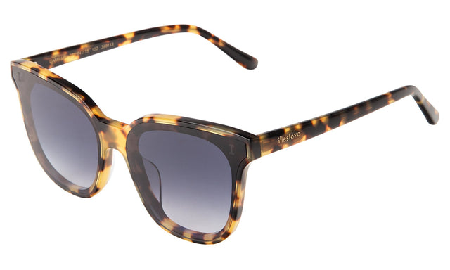 Camille 64 Sunglasses side view in Tortoise / Grey Flat Gradient