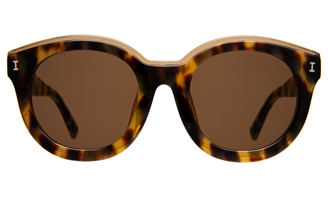 Echo Park Sunglasses front view in Tortoise with Brown Flat