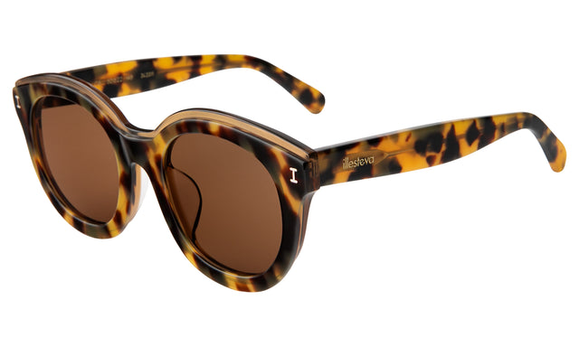 Echo Park Sunglasses side view in Tortoise / Brown Flat