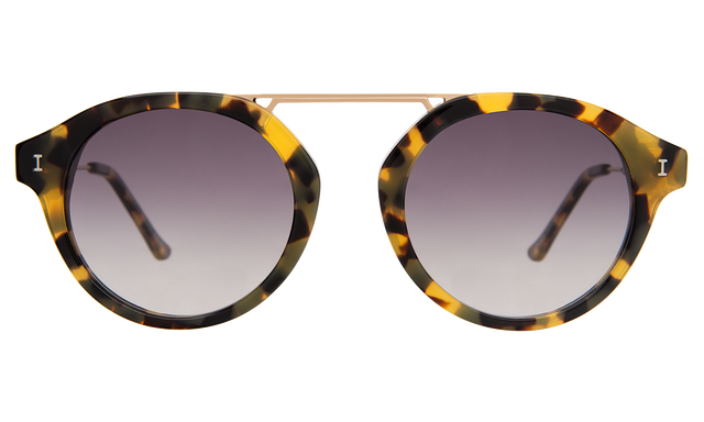 Greenwich Sunglasses front view in Tortoise with Grey Gradient